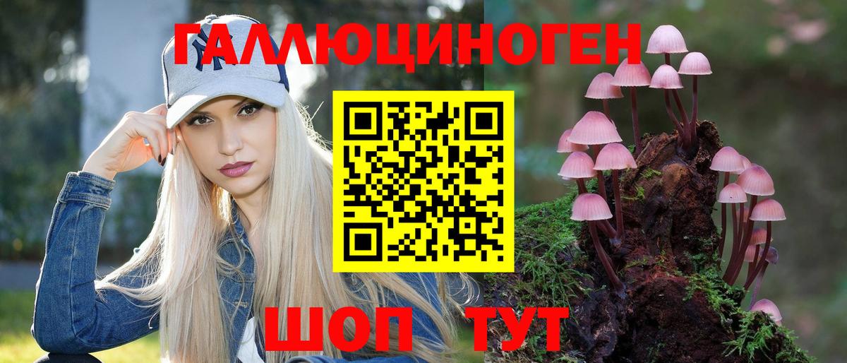 Галлюциногенные грибы Psilocybine cubensis Воркута