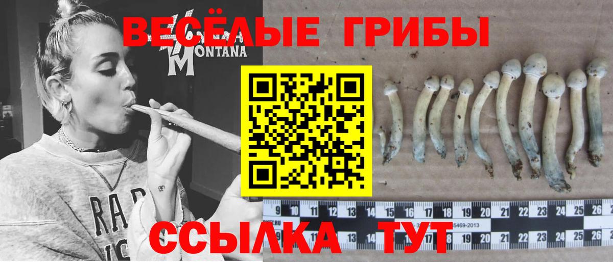 Галлюциногенные грибы мухоморы  Псилоцибиновые грибы Psilocybine cubensis  Воркута  Вход с VPN 